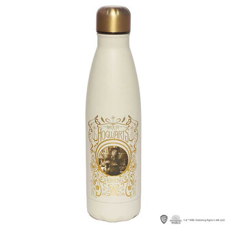 Harry Potter Drinkfles - Hermione and polyjuice - Distrineo - 500ml - Foto: 2